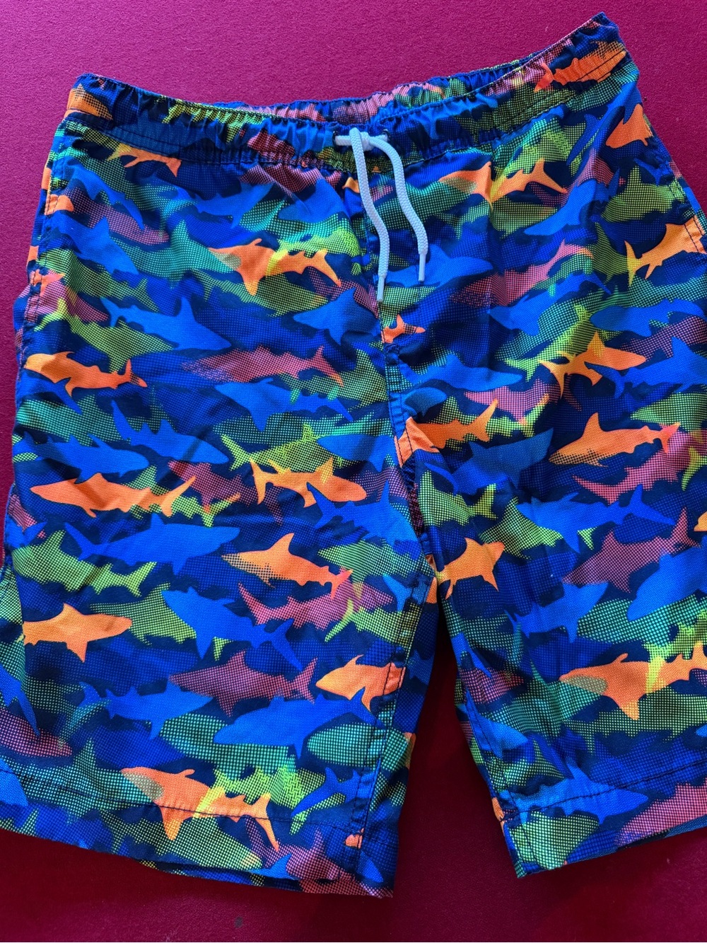 Lands' End Boys Shark-Print Swim Shorts in Blue, Orange & Green, worn once